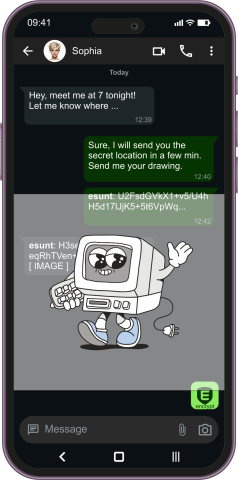 Viewing encrypted content in a messaging application